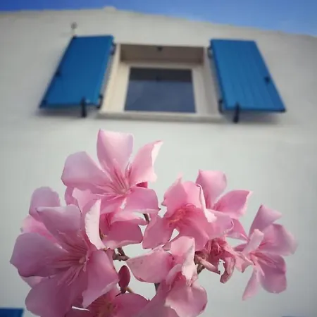 Bed & Breakfast Brigida 4*