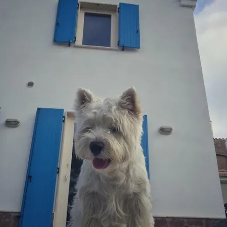 Brigida Carloforte (Isola di San Pietro)