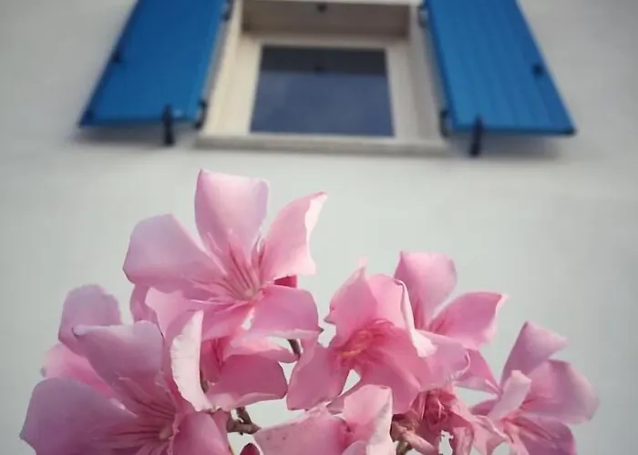 Bed and breakfast Brigida 4*