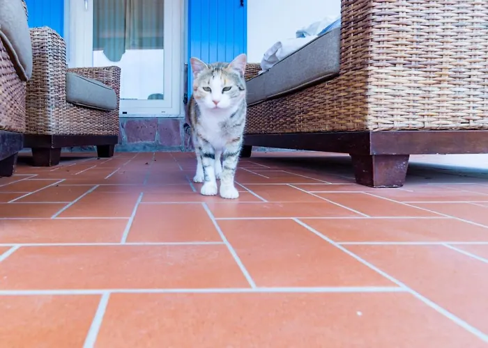 Bed and breakfast Brigida 4*