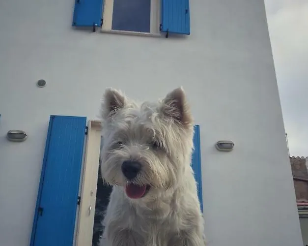 Brigida Carloforte (Isola di San Pietro)