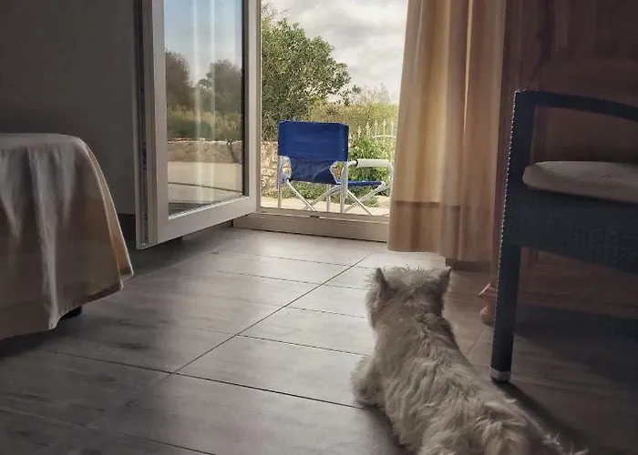 Brigida 4* Carloforte (Isola di San Pietro)