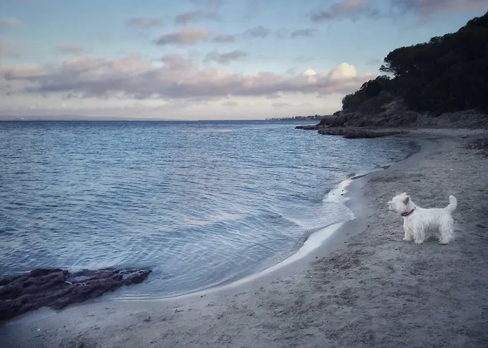 Bed and breakfast Brigida Carloforte (Isola di San Pietro)